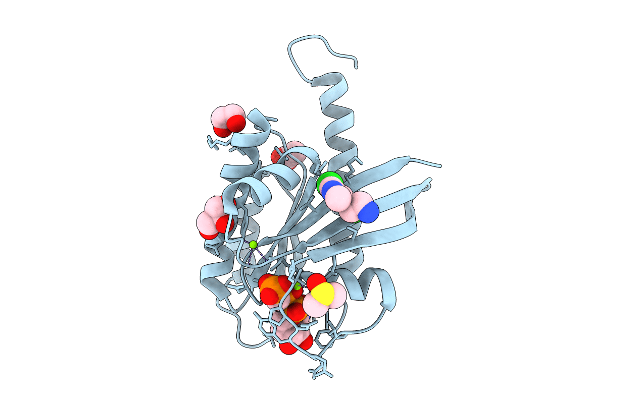 4DST image