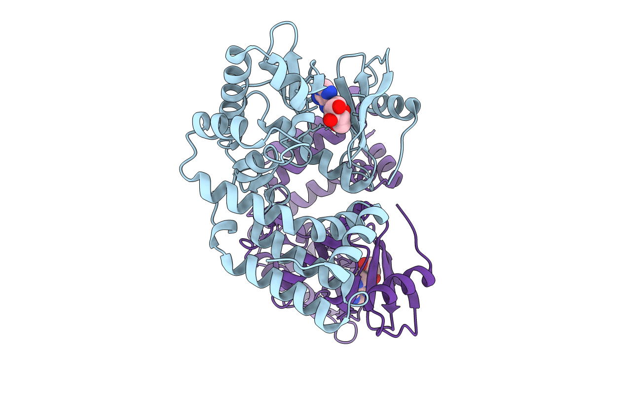 4DT8 image