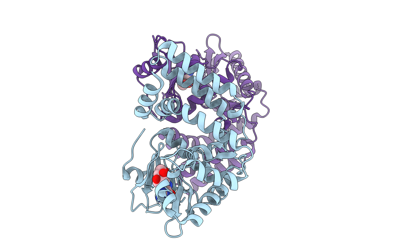 4DT9 image