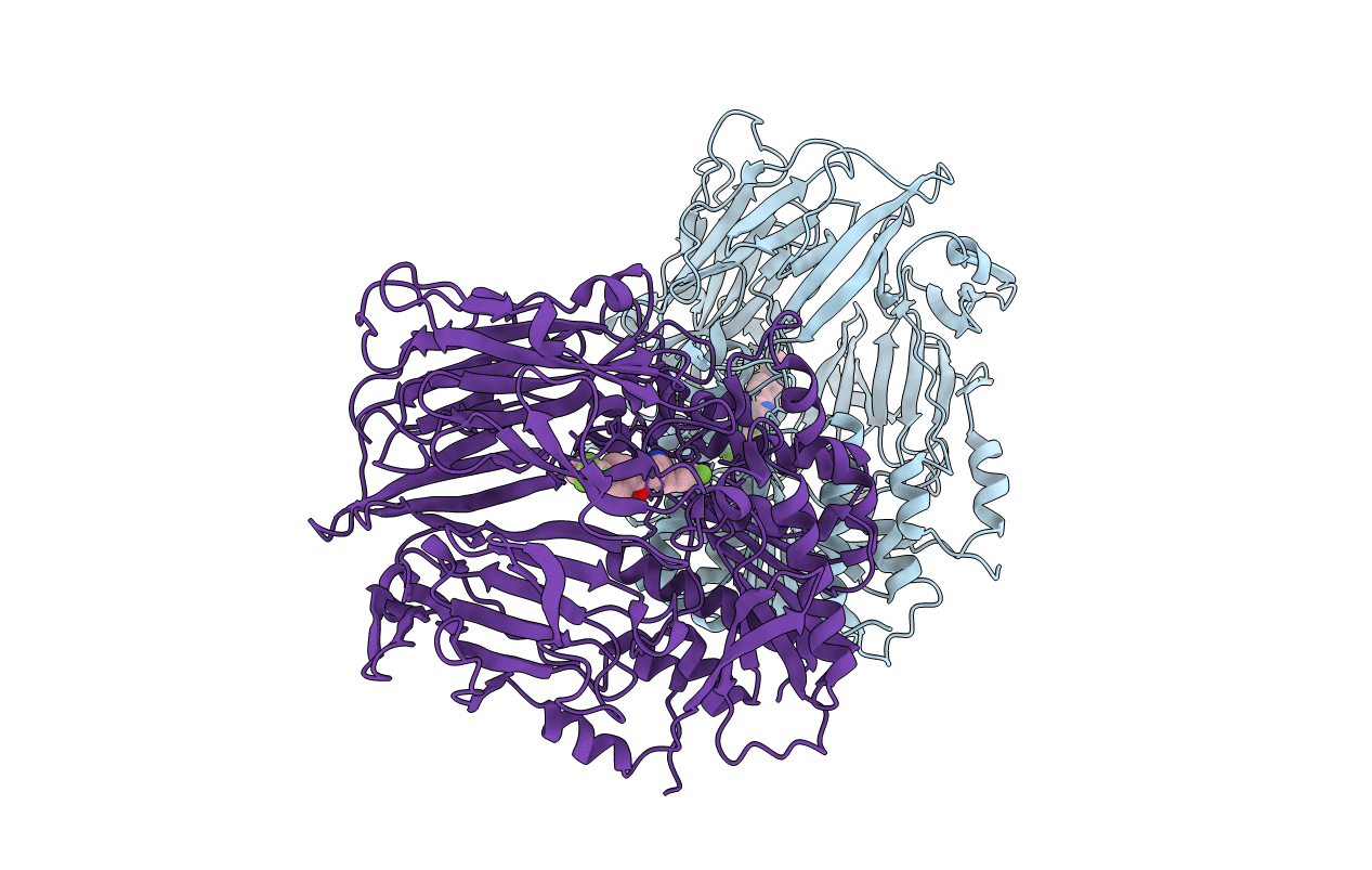 4DTC image