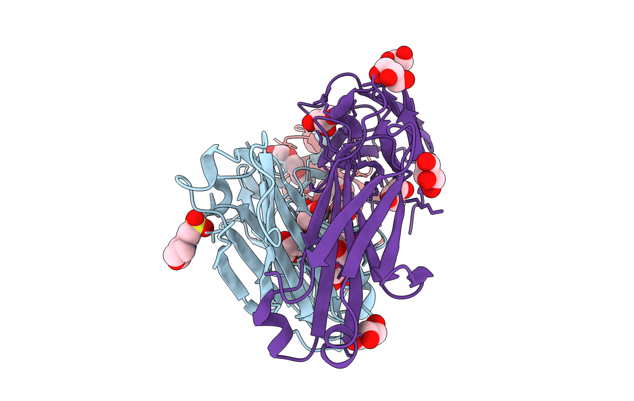 4DTG image