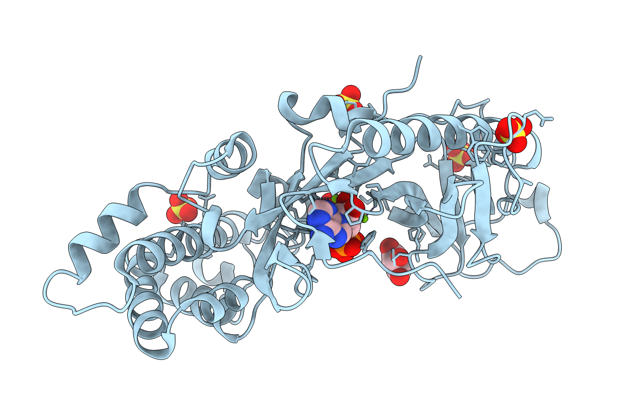 4DTH image