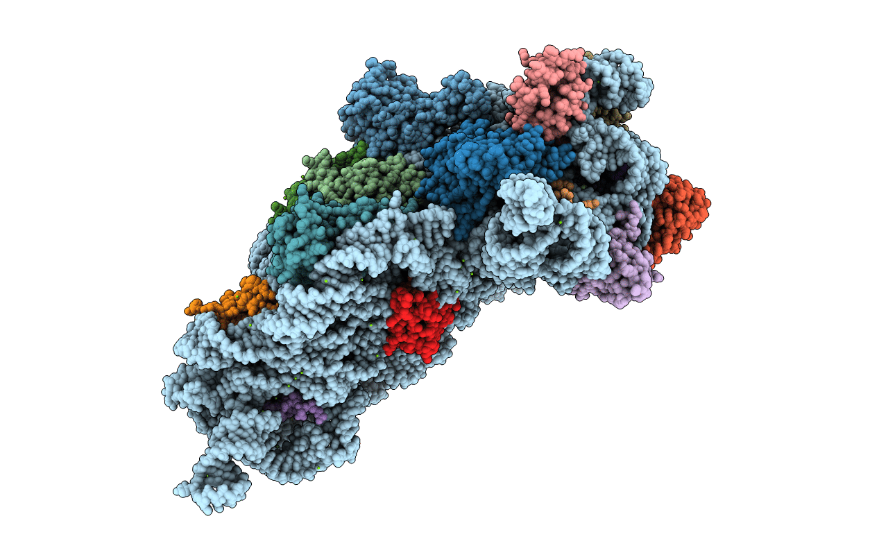 4DV3 image