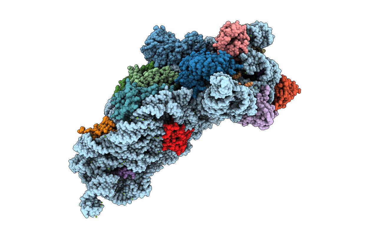 4DV4 image
