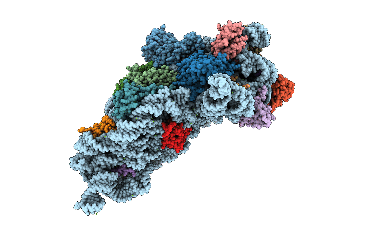 4DV7 image