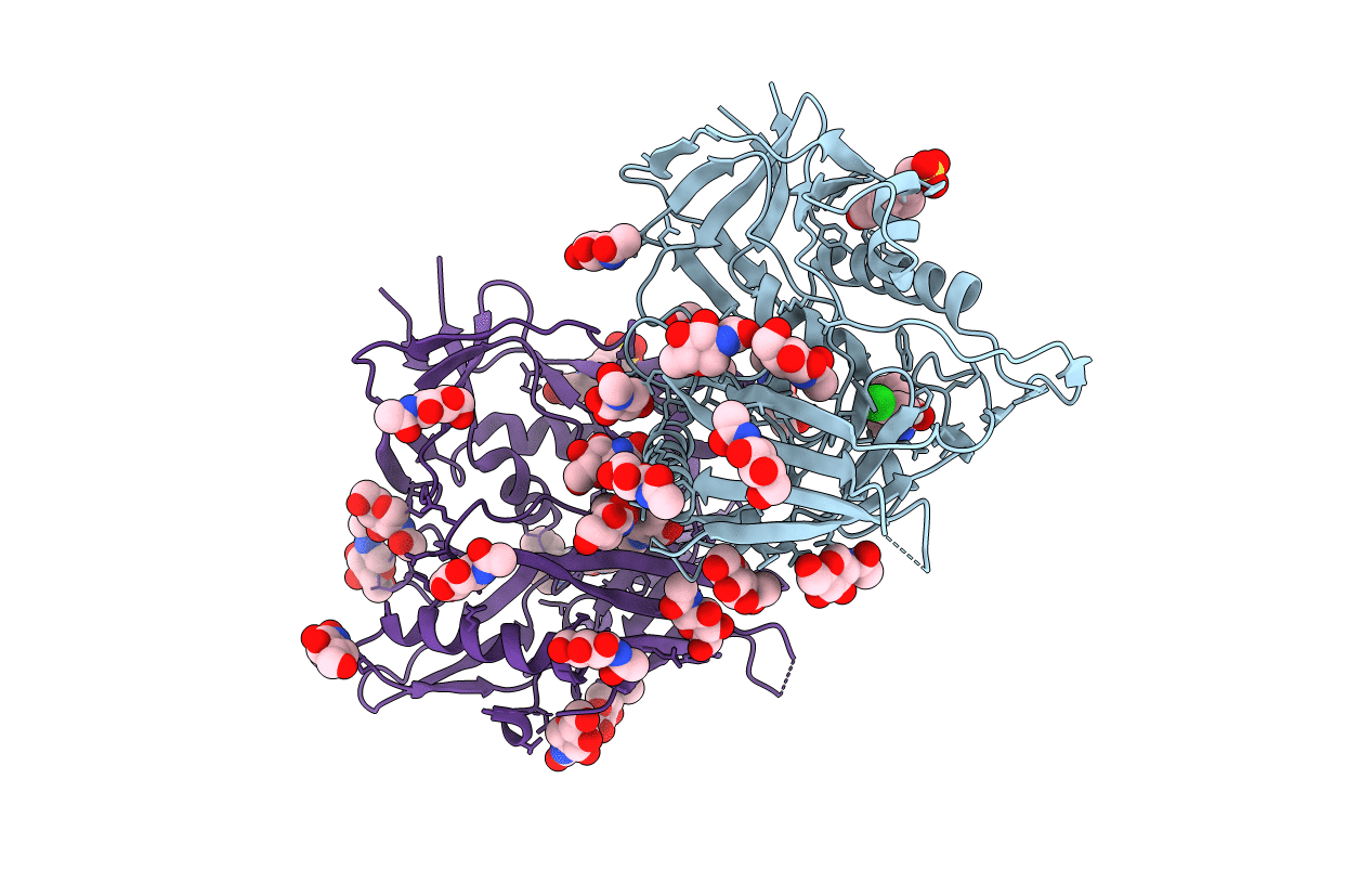 4DVT image