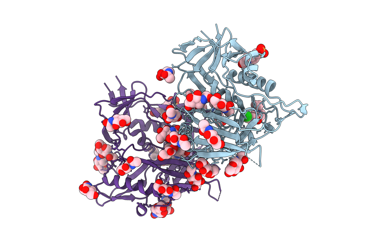 4DVX image