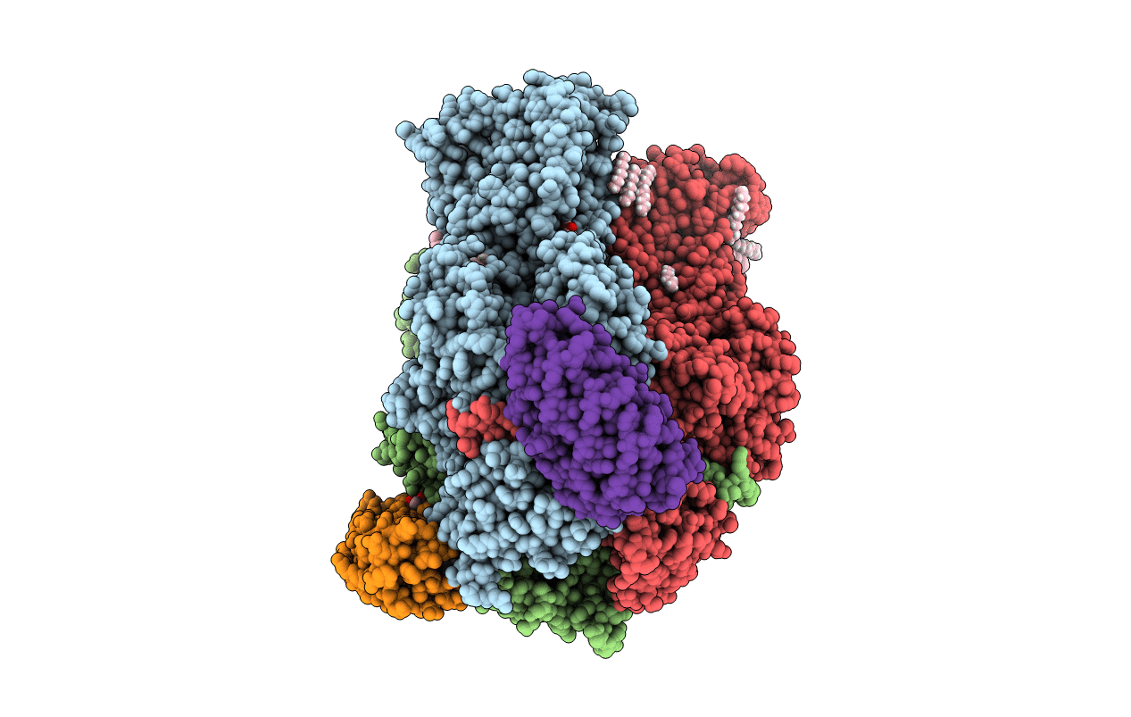 4DX5 image