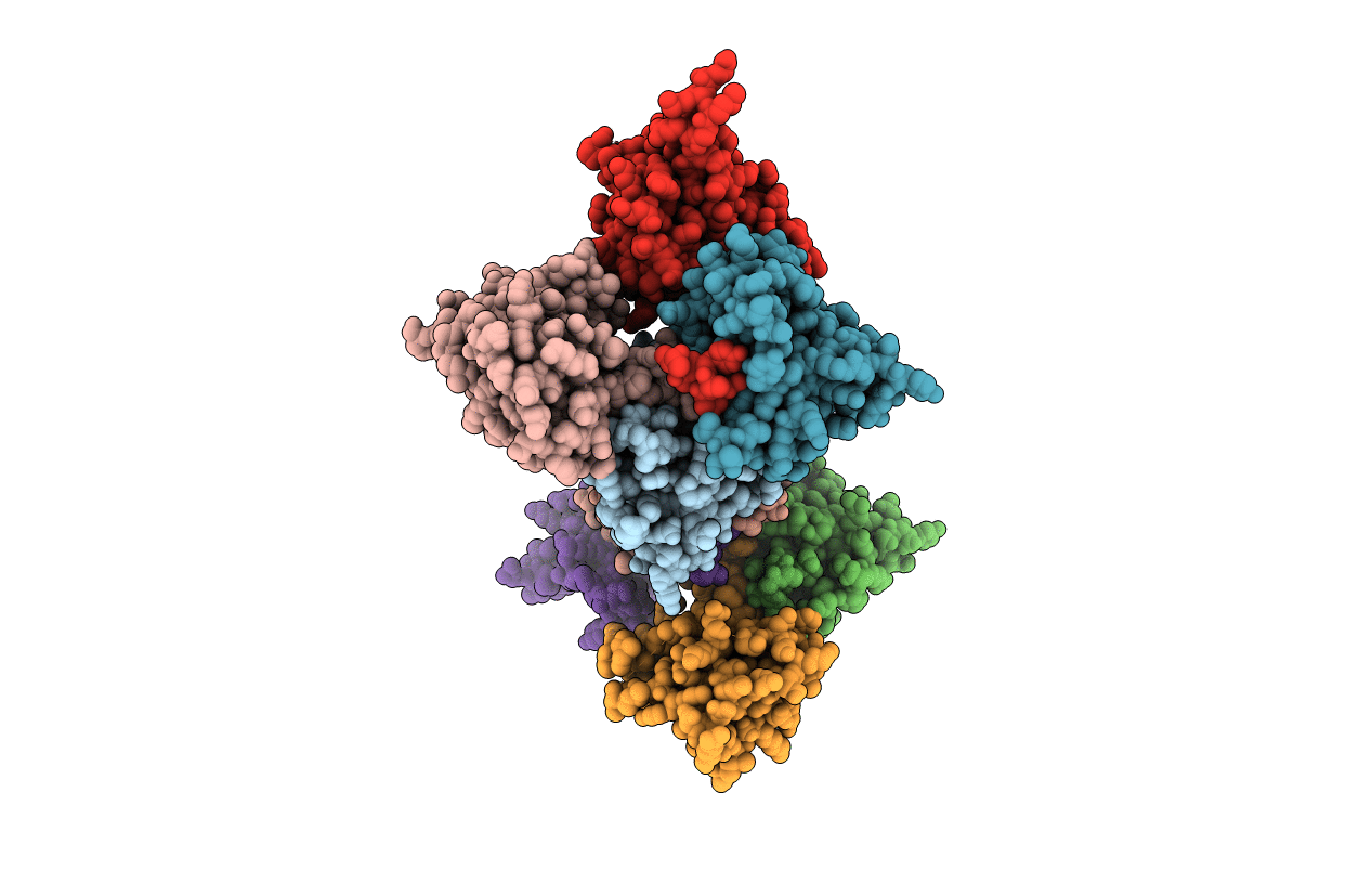 4DX8 image
