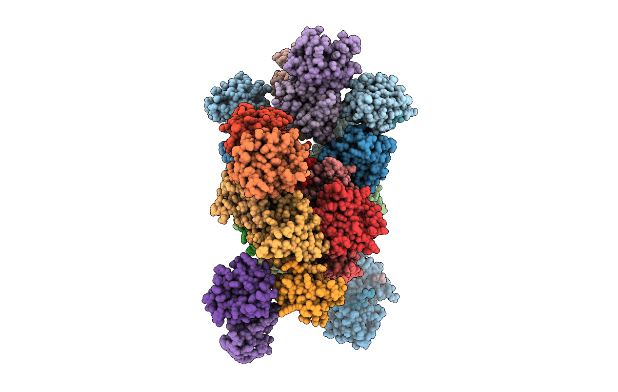 4DX9 image