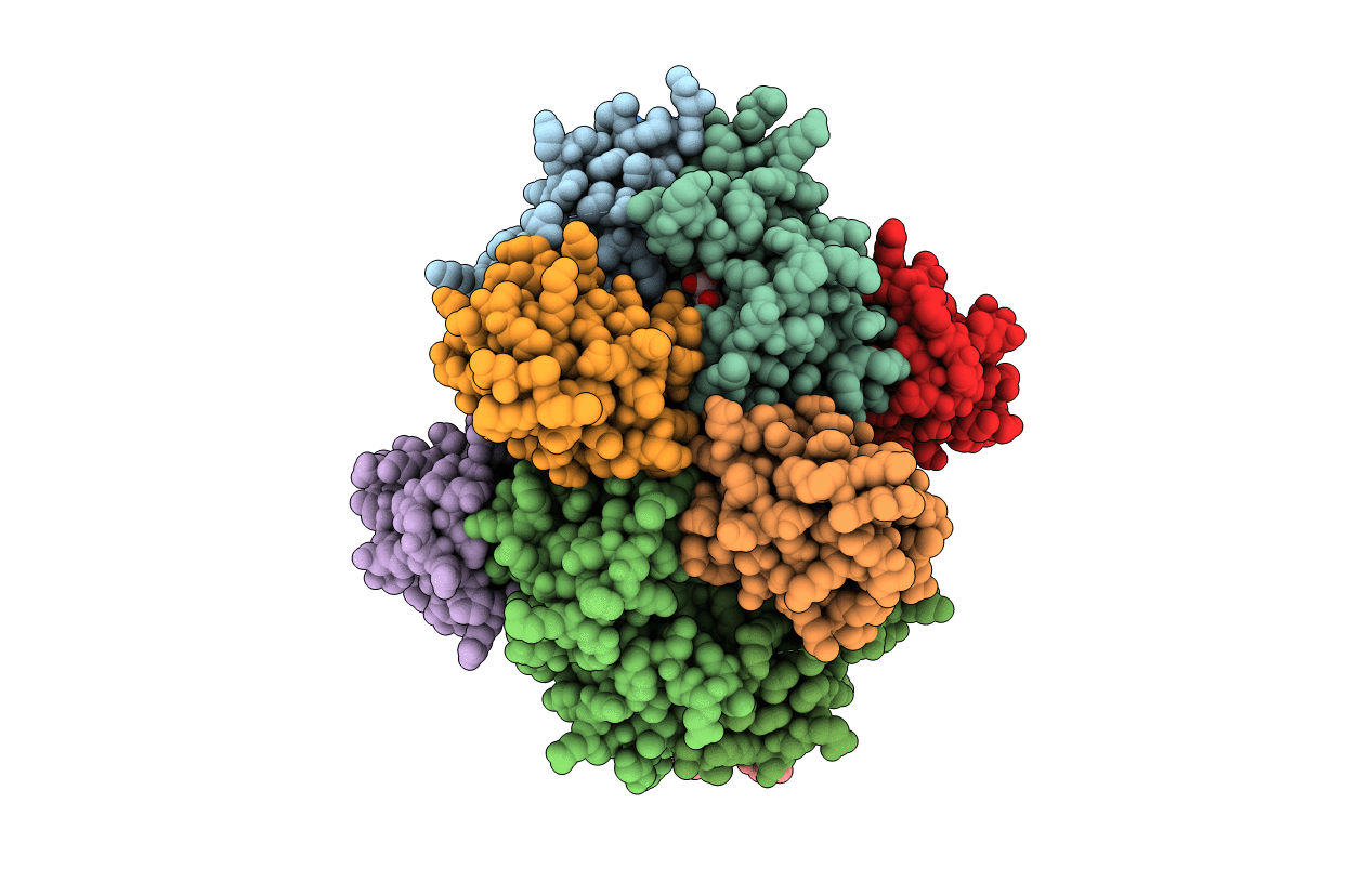4DXE image