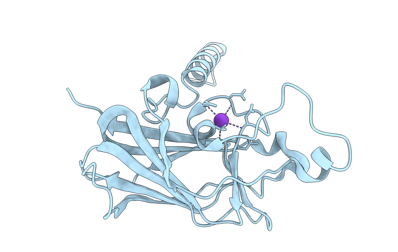 4DXT image