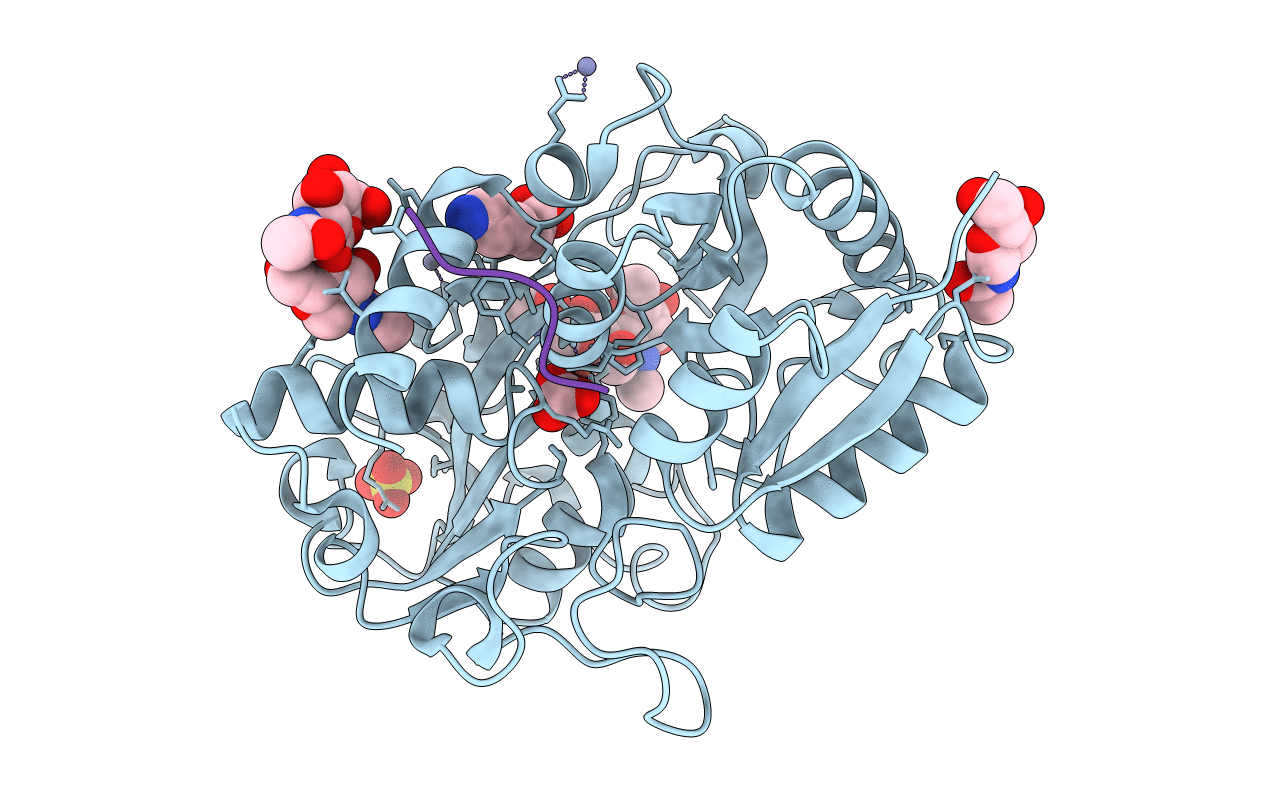 4DXU image