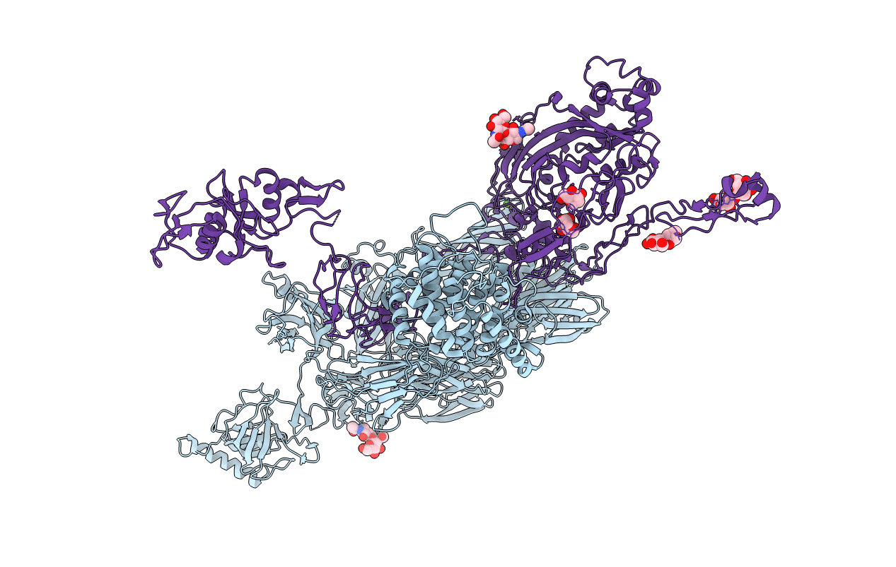 4E0S image