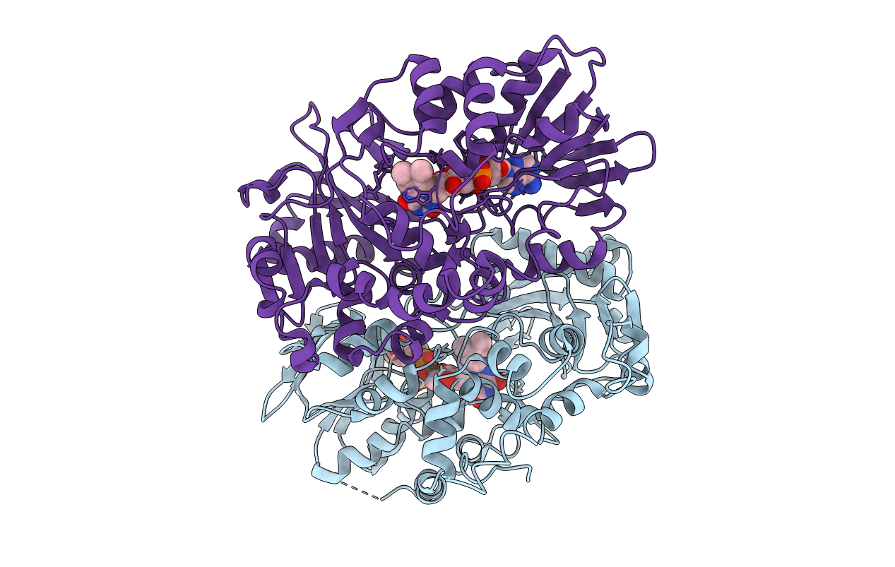 4E0V image