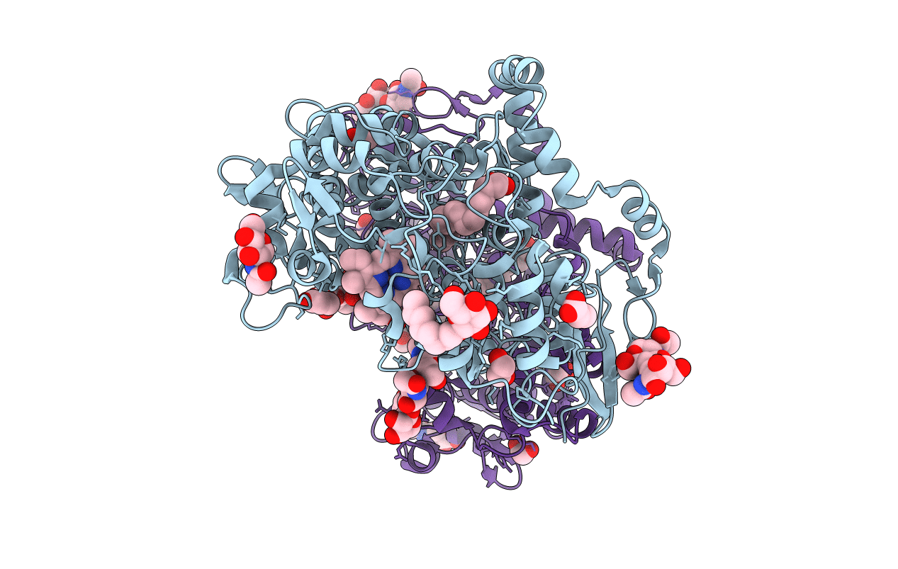 4E1G image