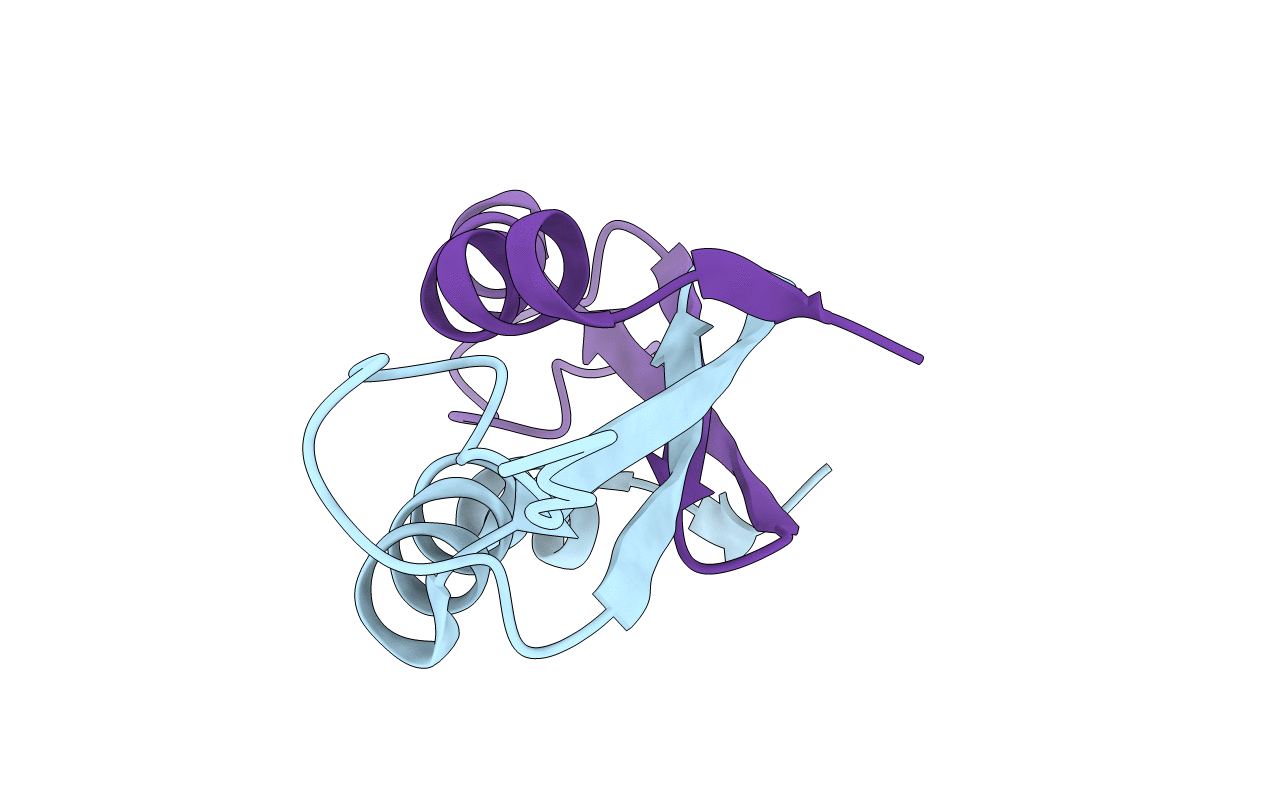 4E1P image