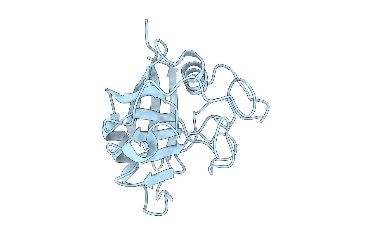 4E1Q image
