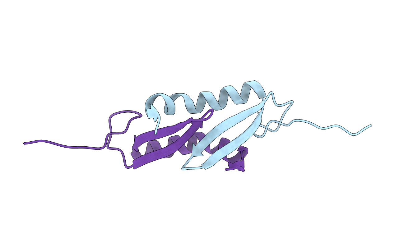 4E1R image