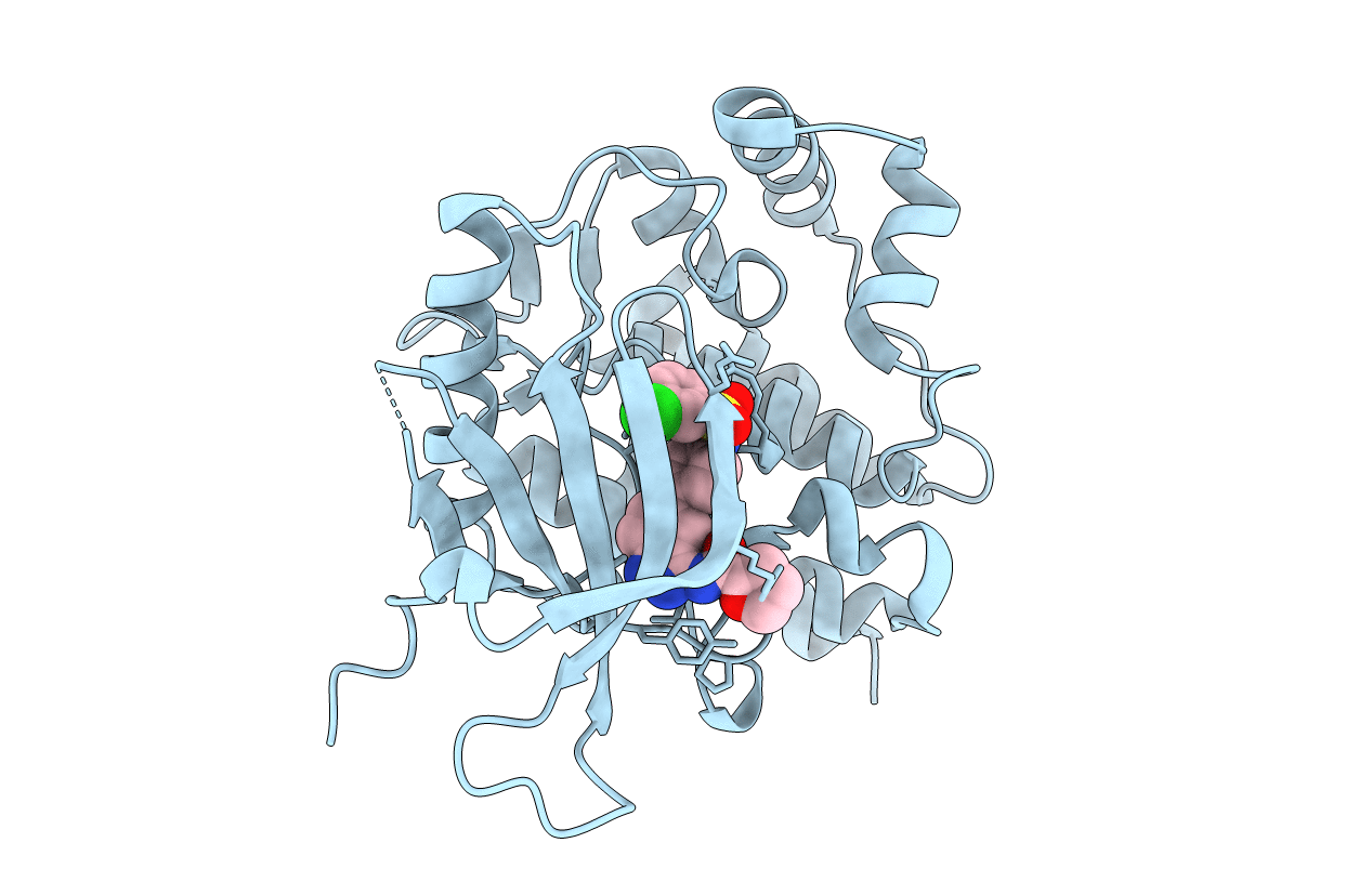 4E1Z image