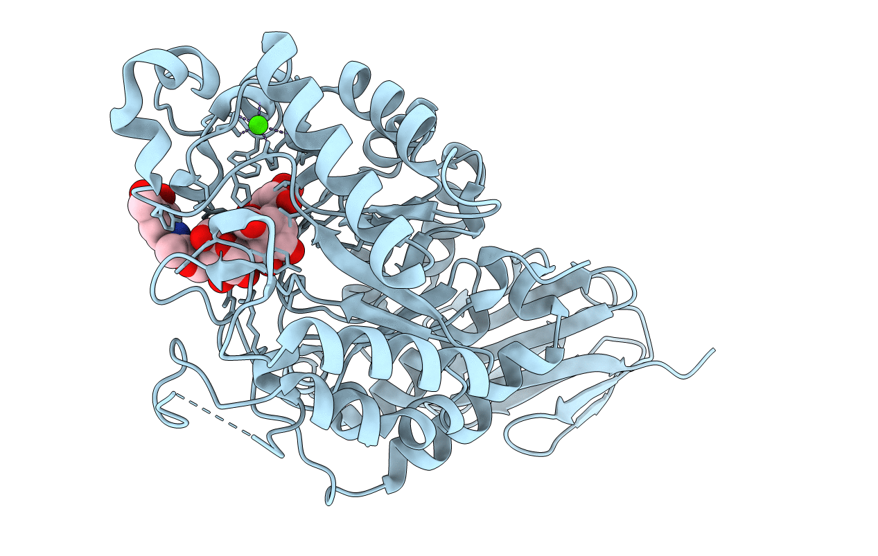 4E2O image