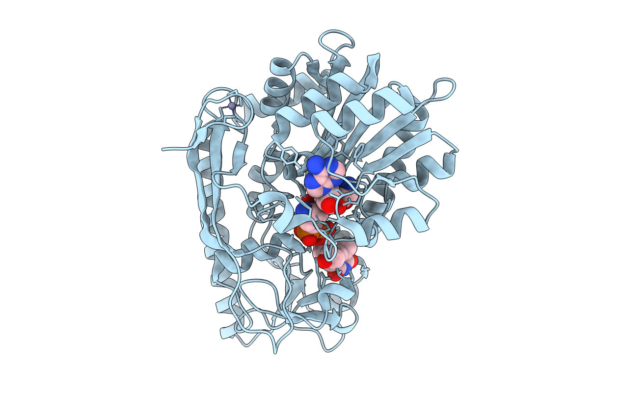 4E2Y image