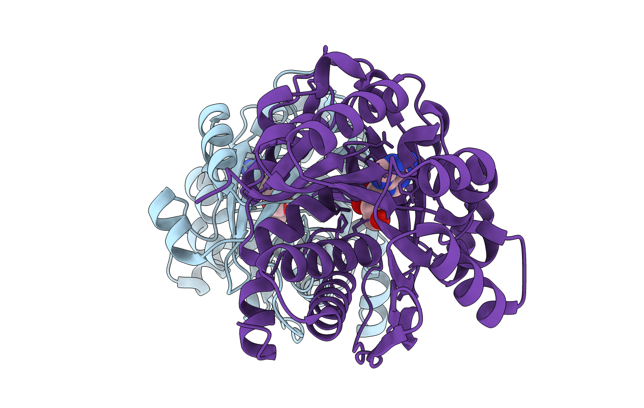 4E3A image