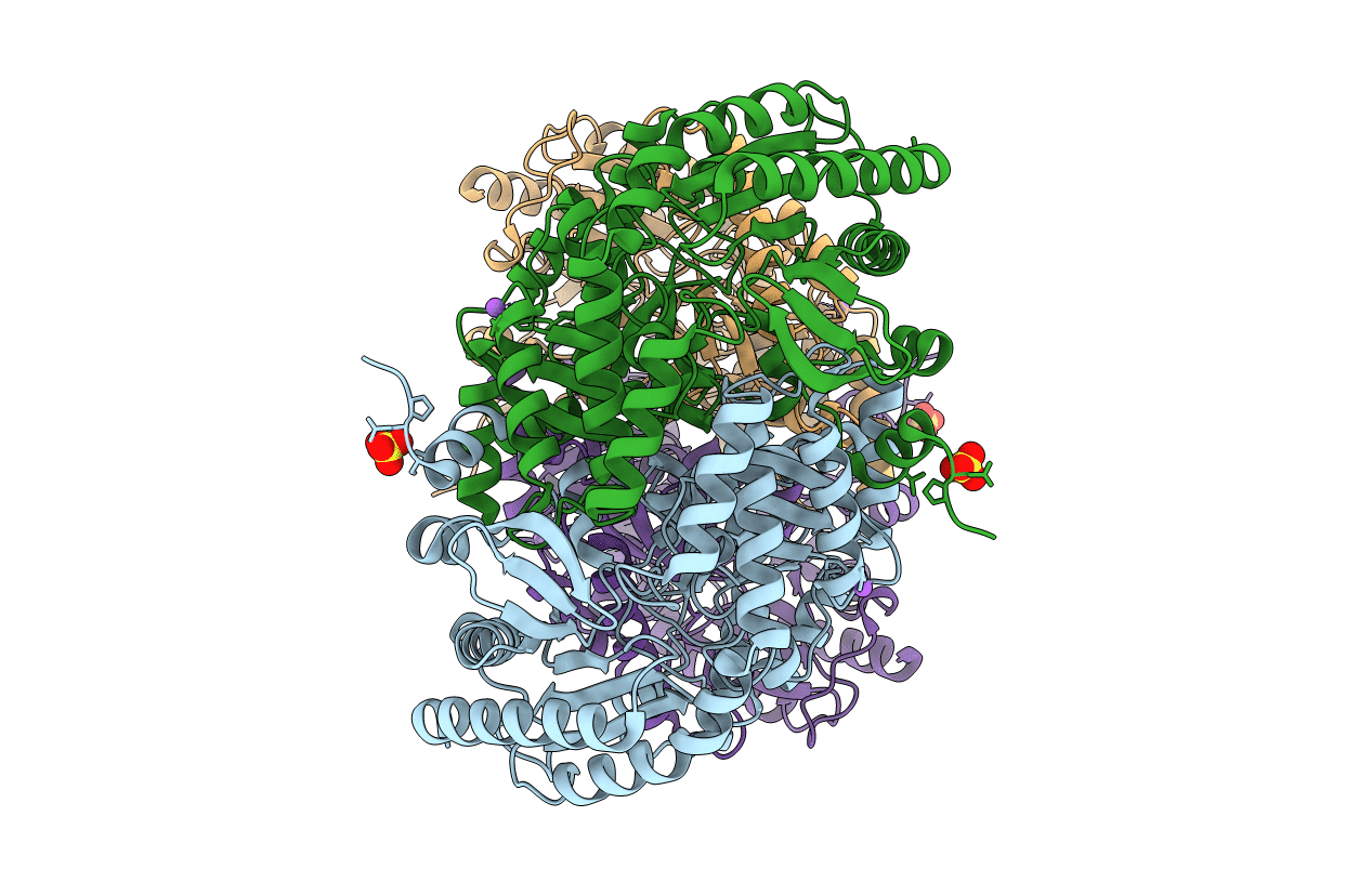 4E3R image