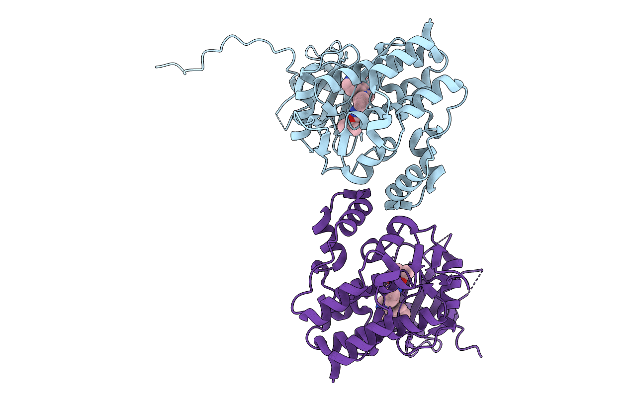 4E4N image