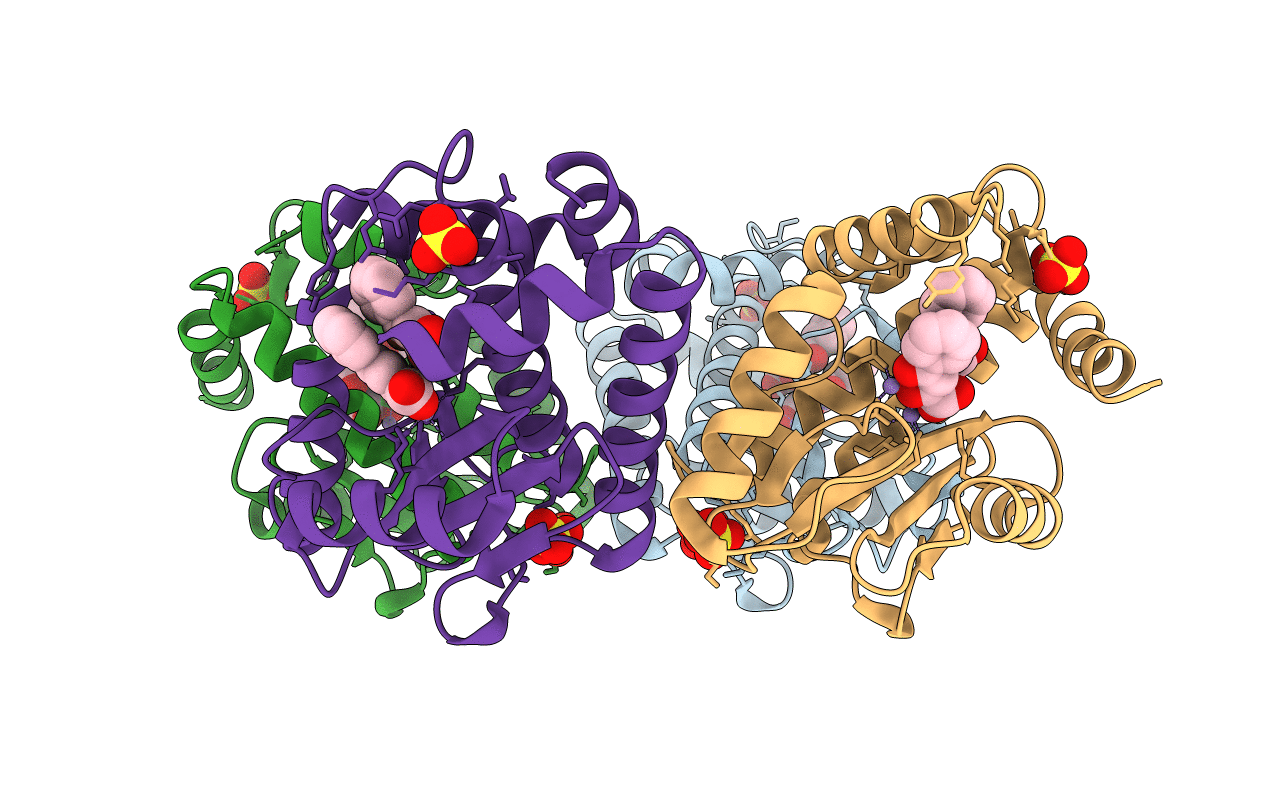 4E5G image