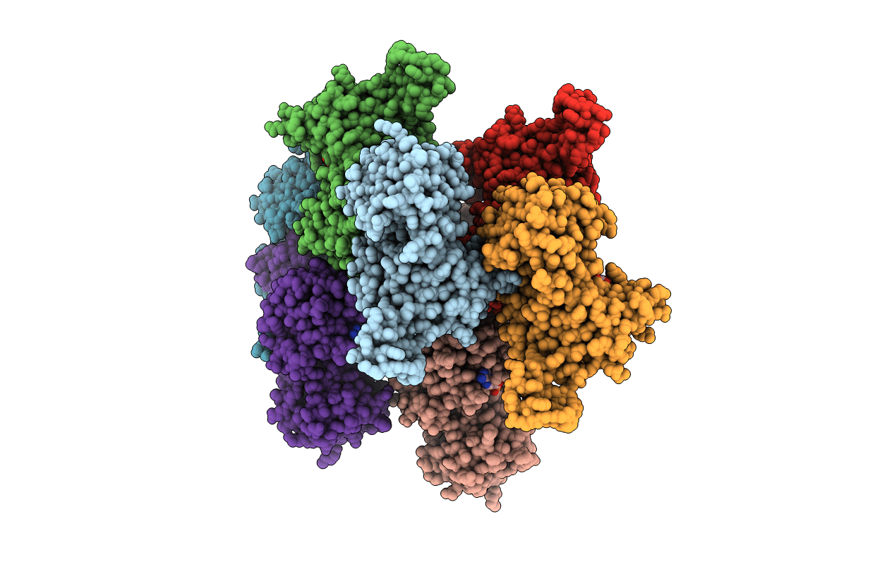 4E5N image
