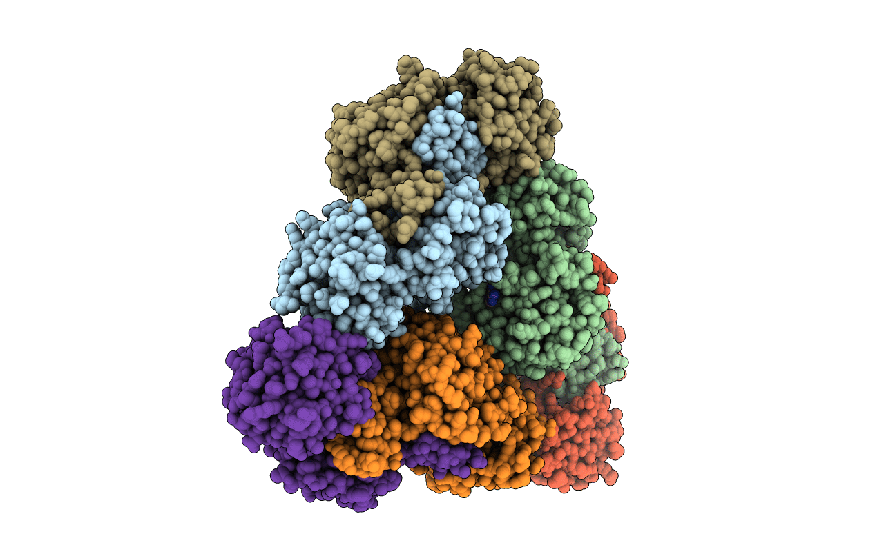 4E5P image
