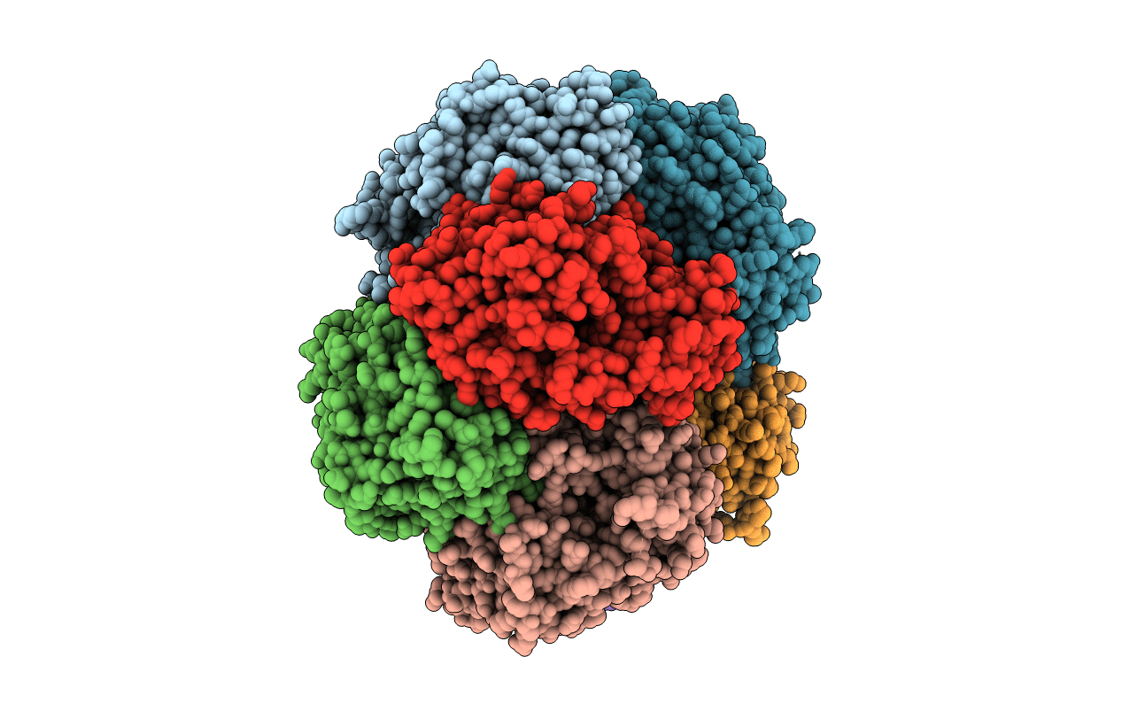 4E5T image
