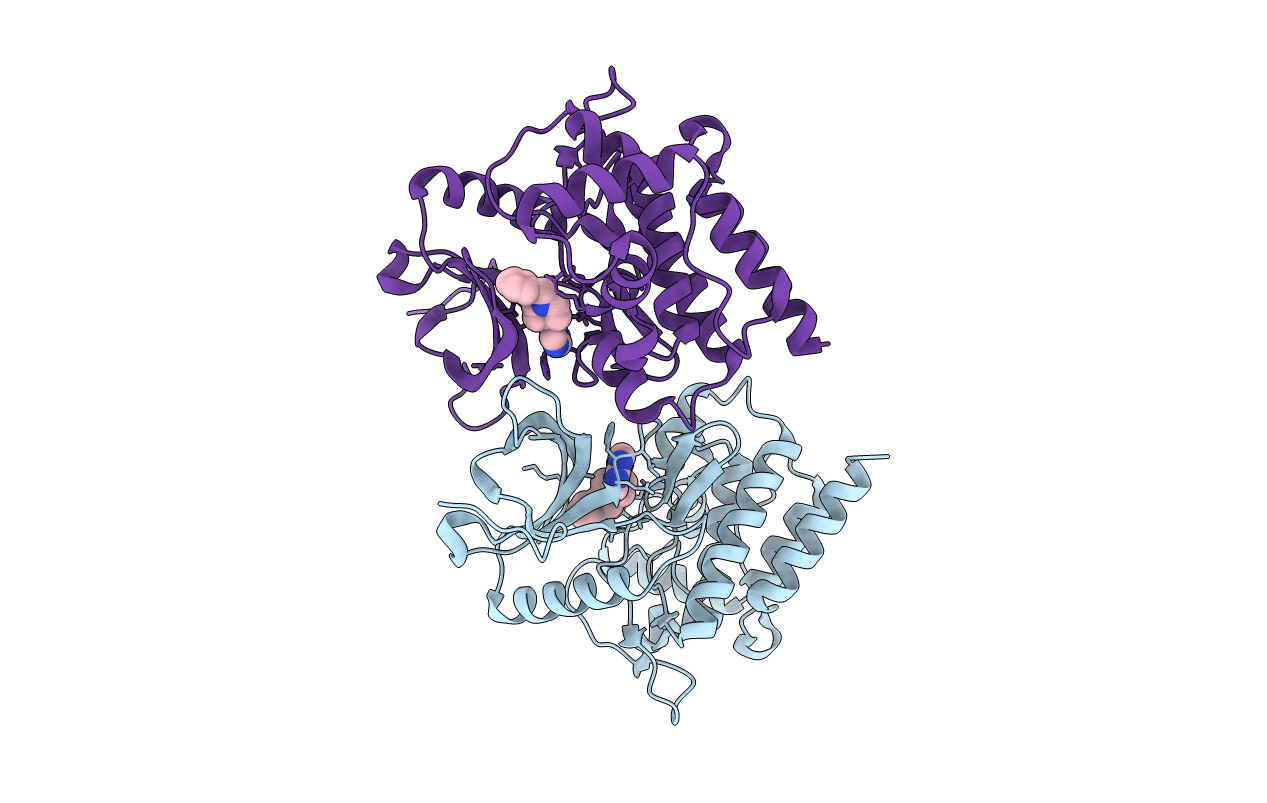4E6Q image