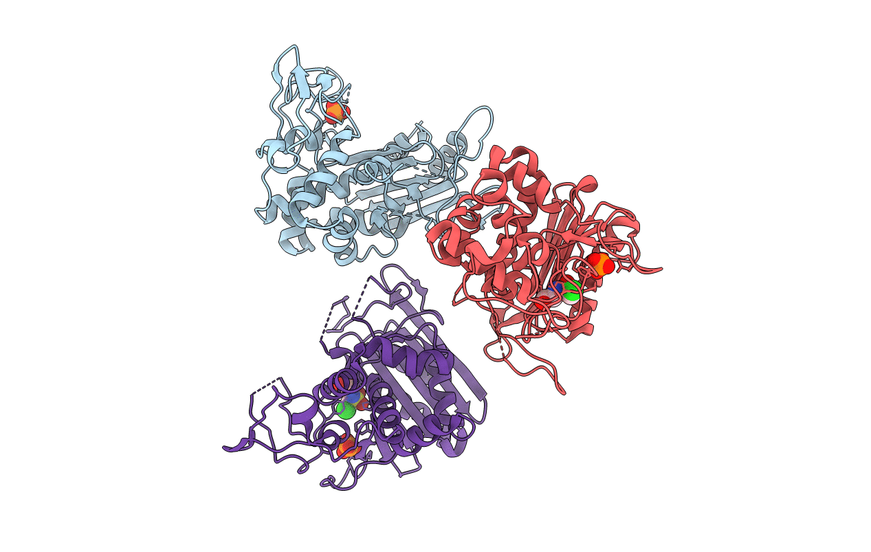 4E6X image