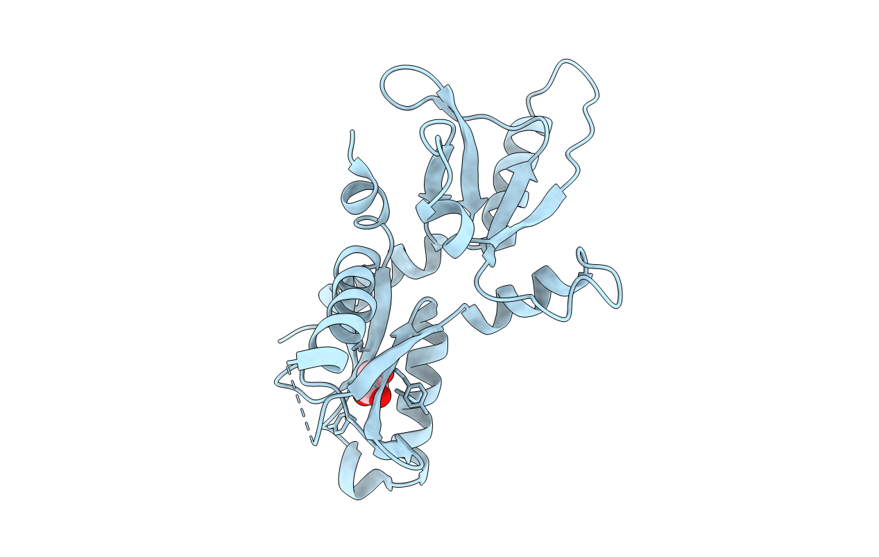 4E6Z image