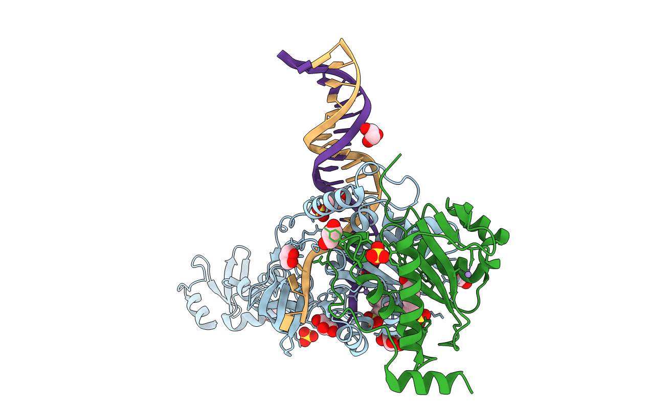 4E7I image