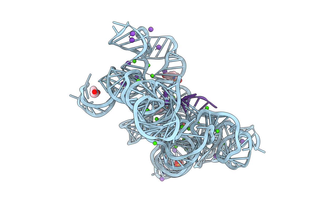 4E8K image