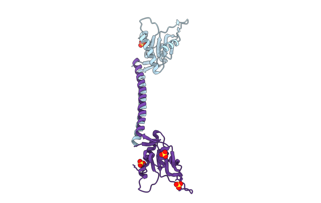4E8U image