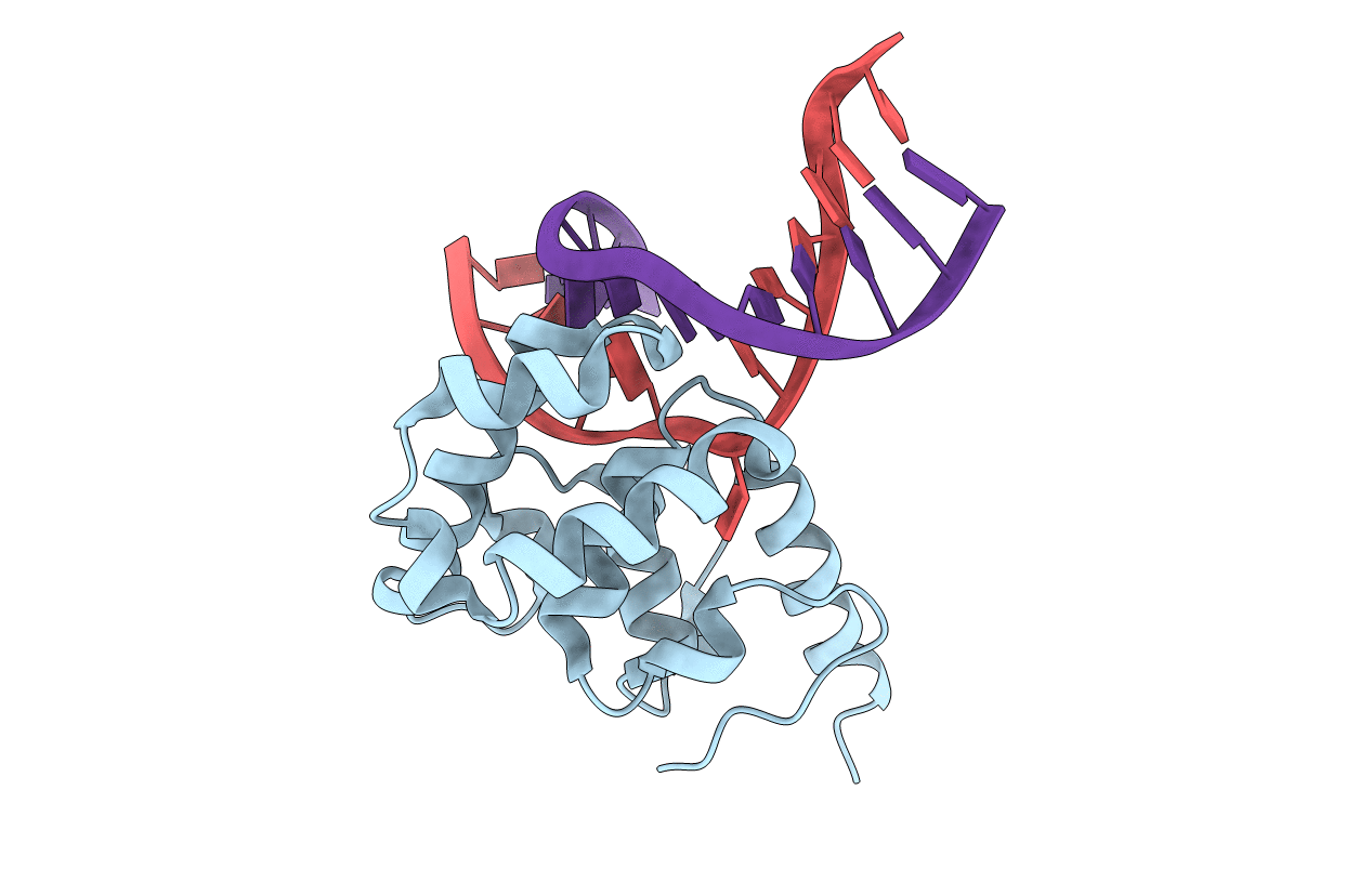 4E9G image