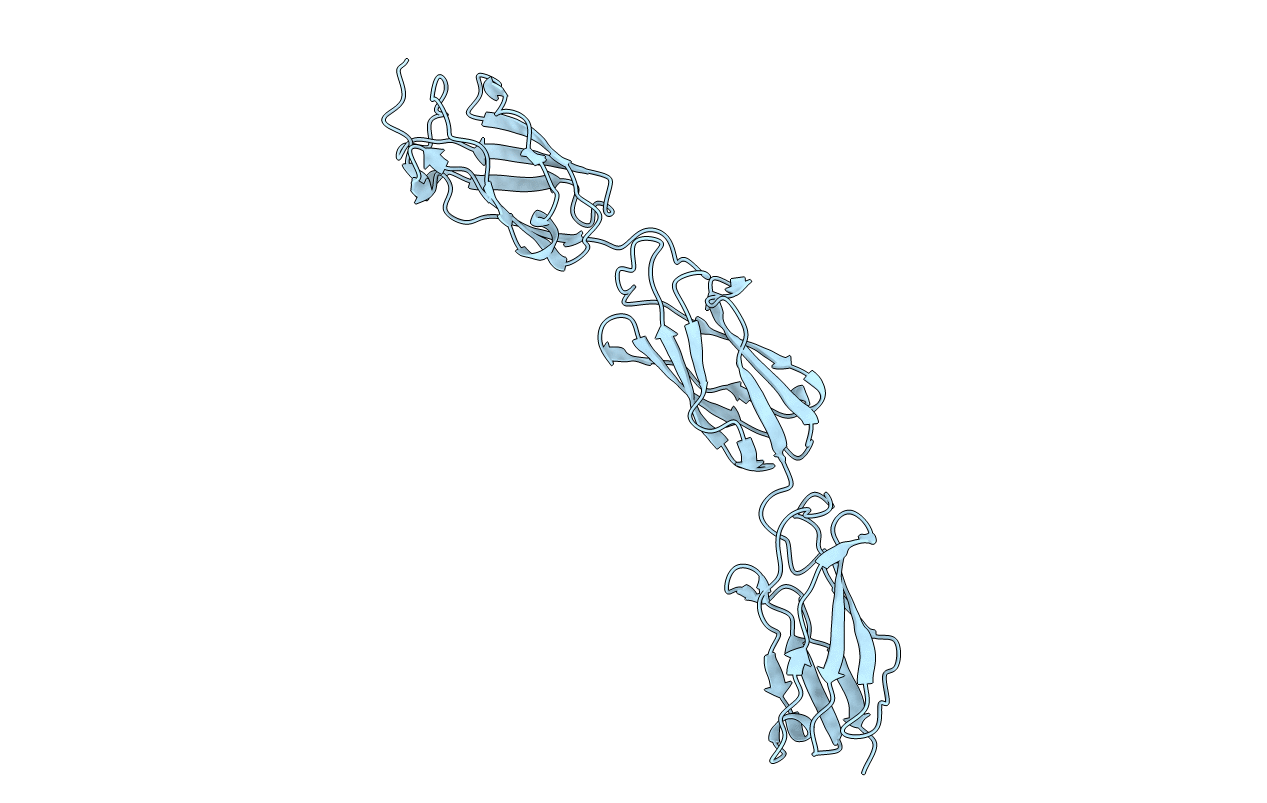 4E9L image