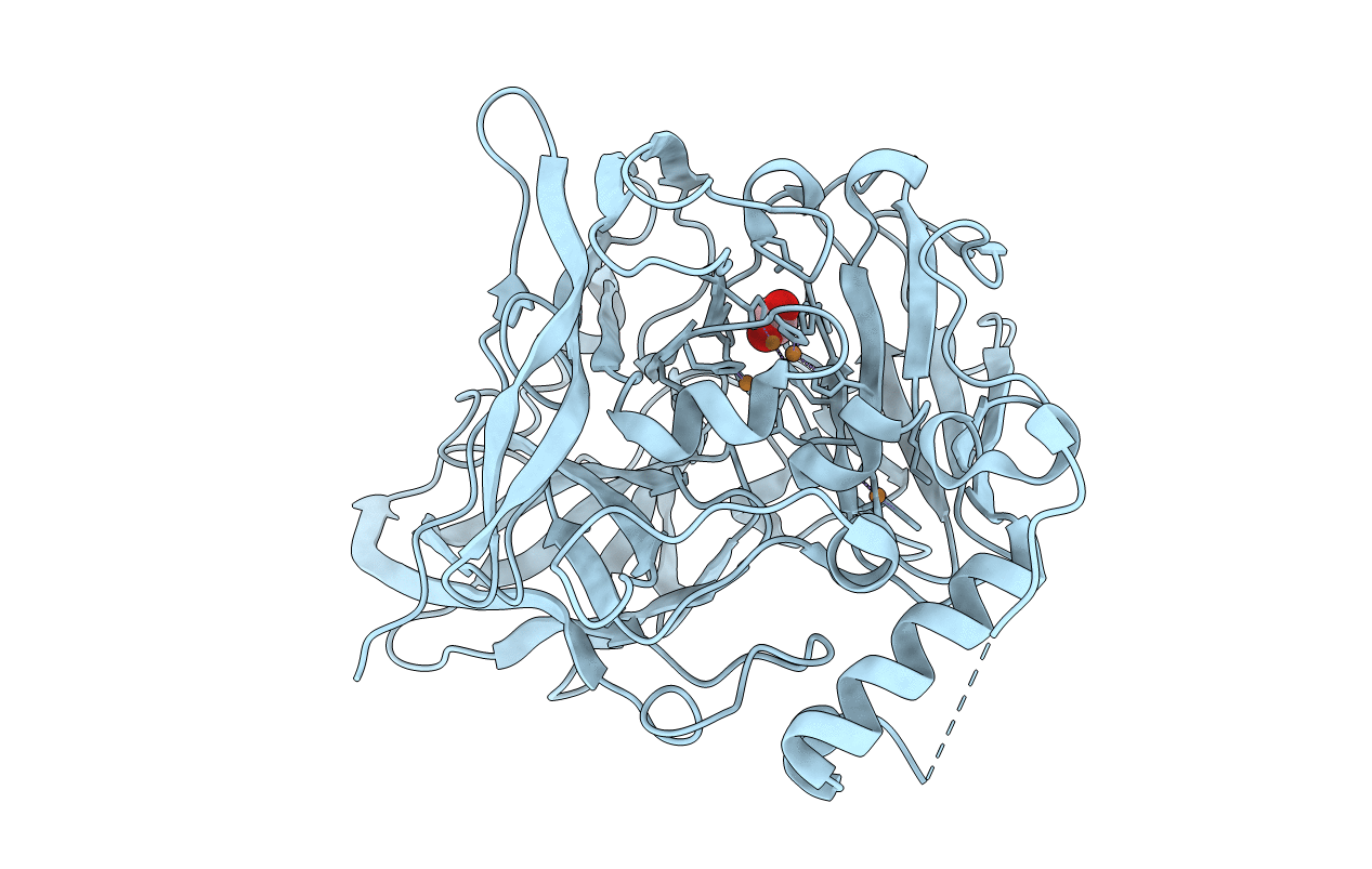 4E9R image