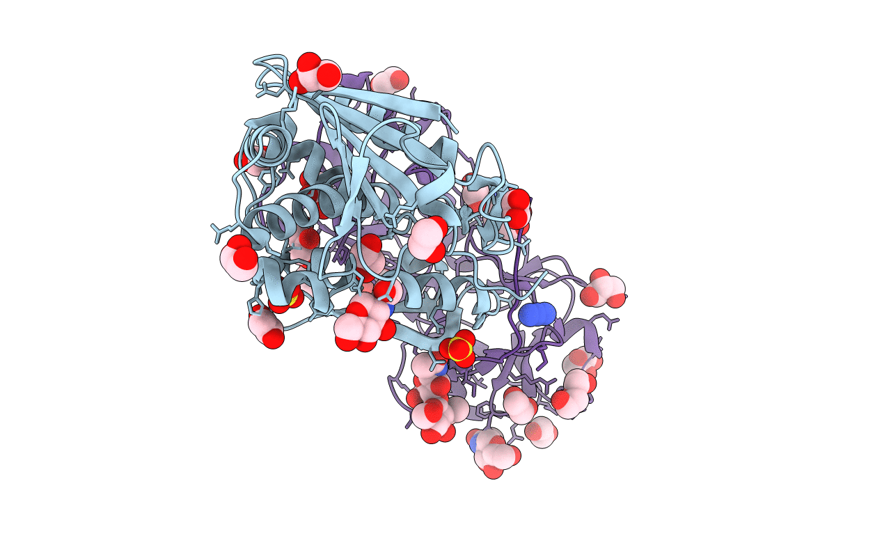 4EB2 image