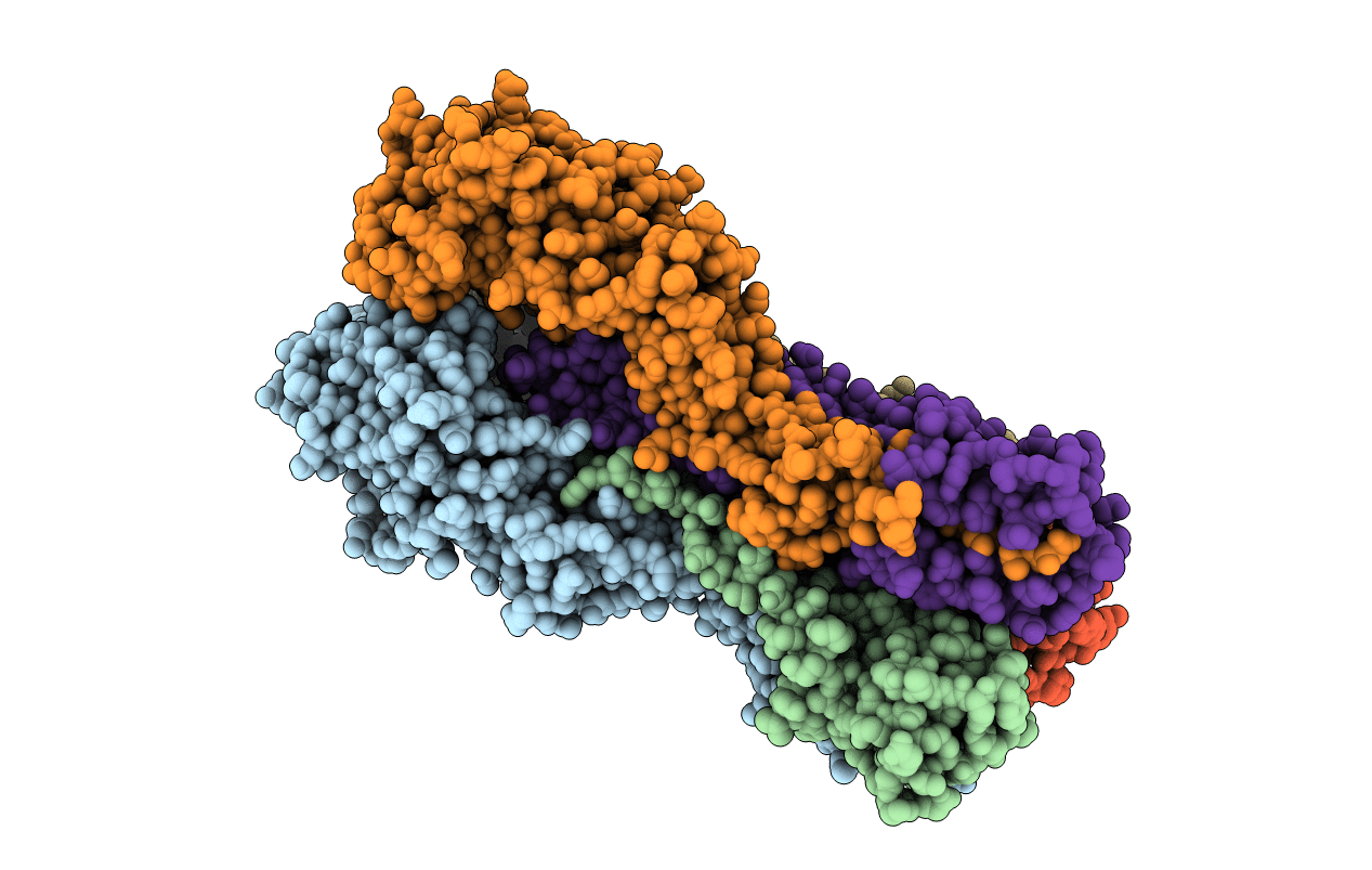 4EDB image