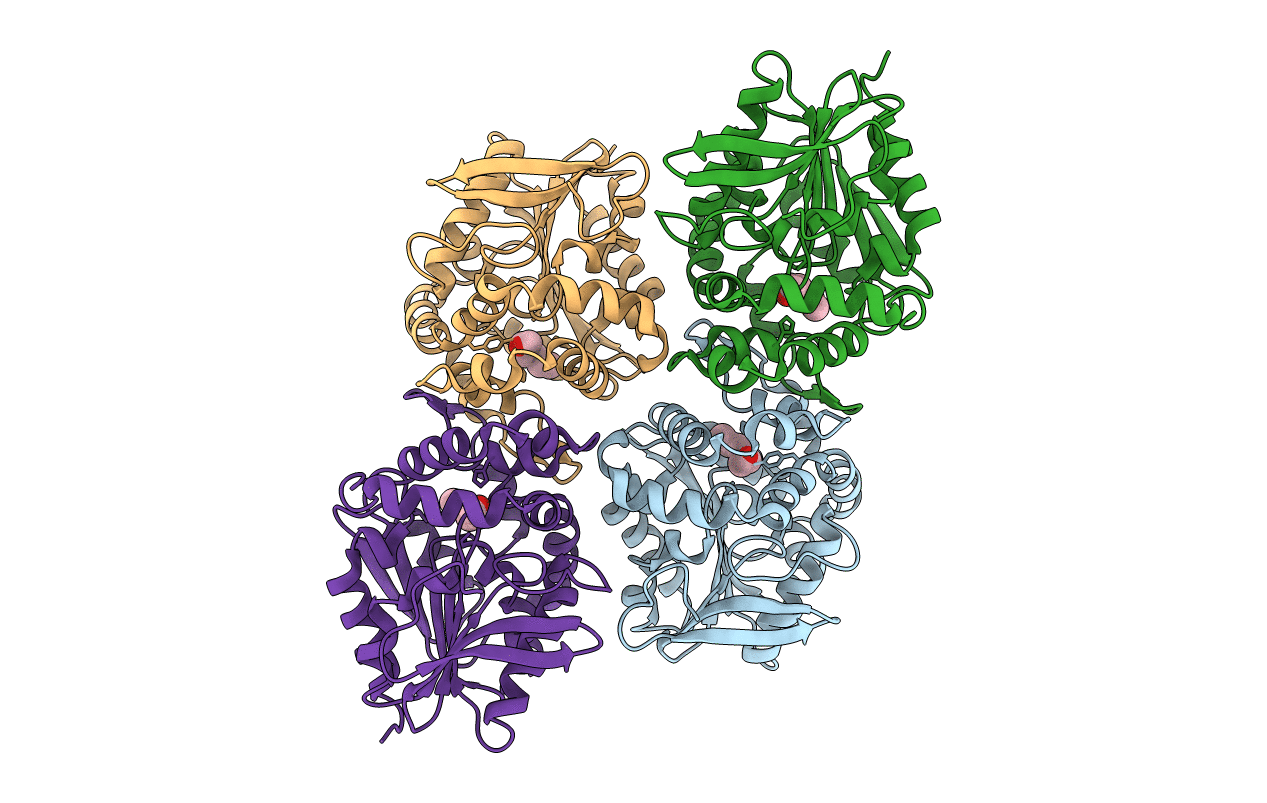 4EHB image