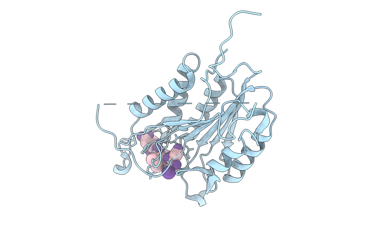 4EHD image