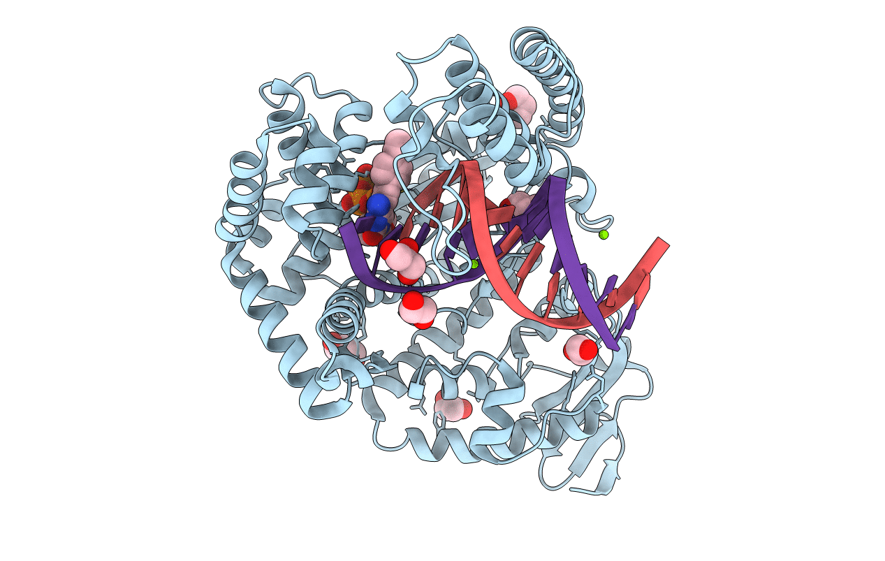 4ELV image