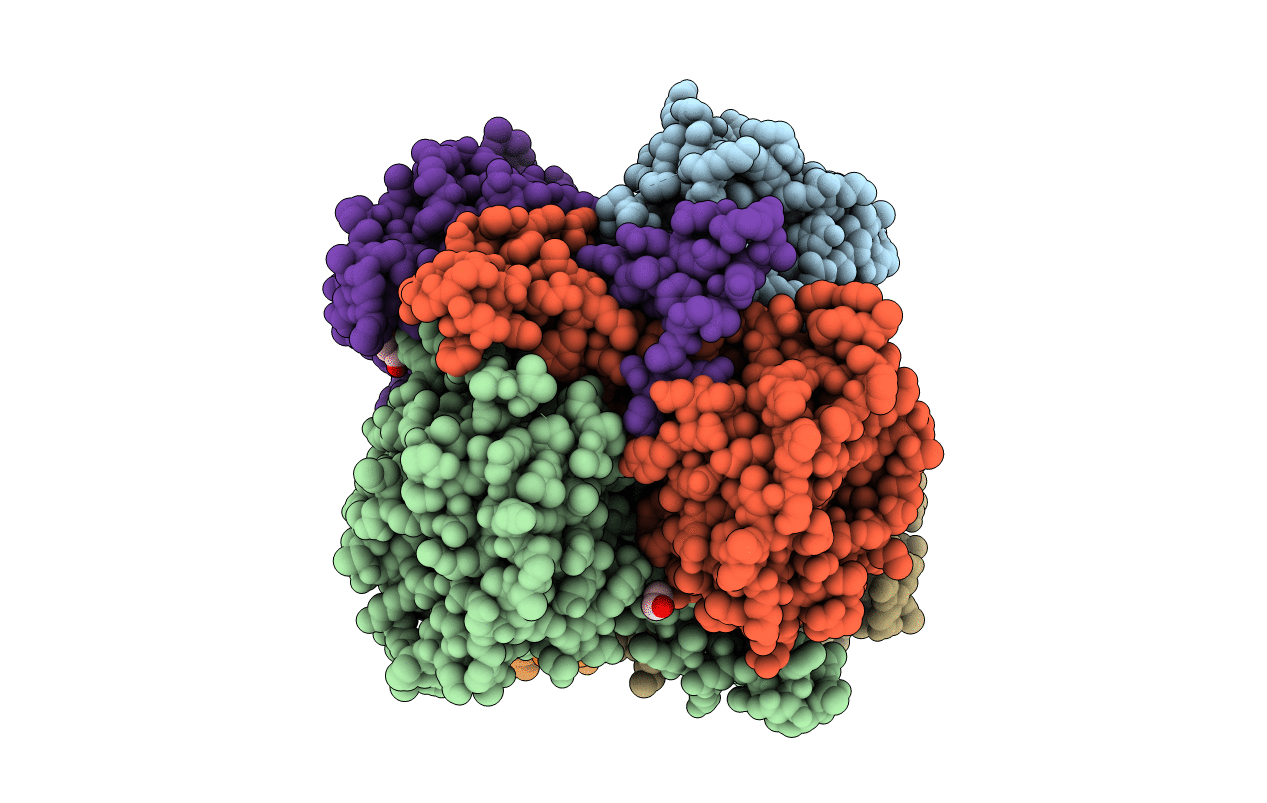 4ELX image