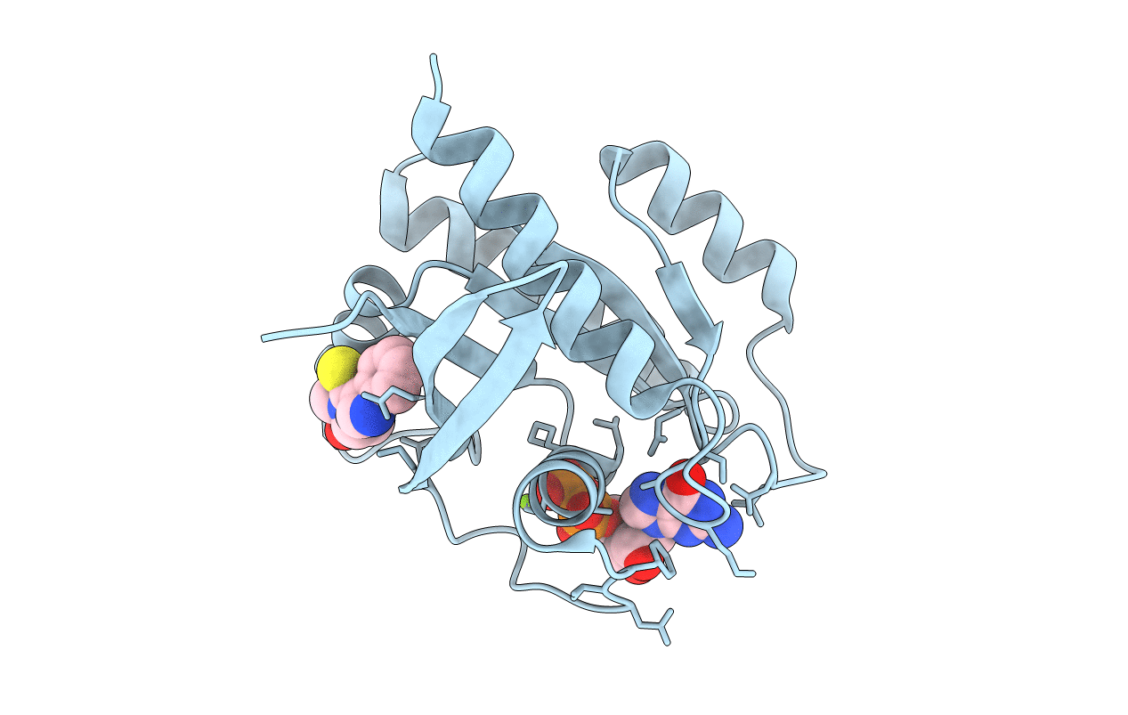 4EPW image