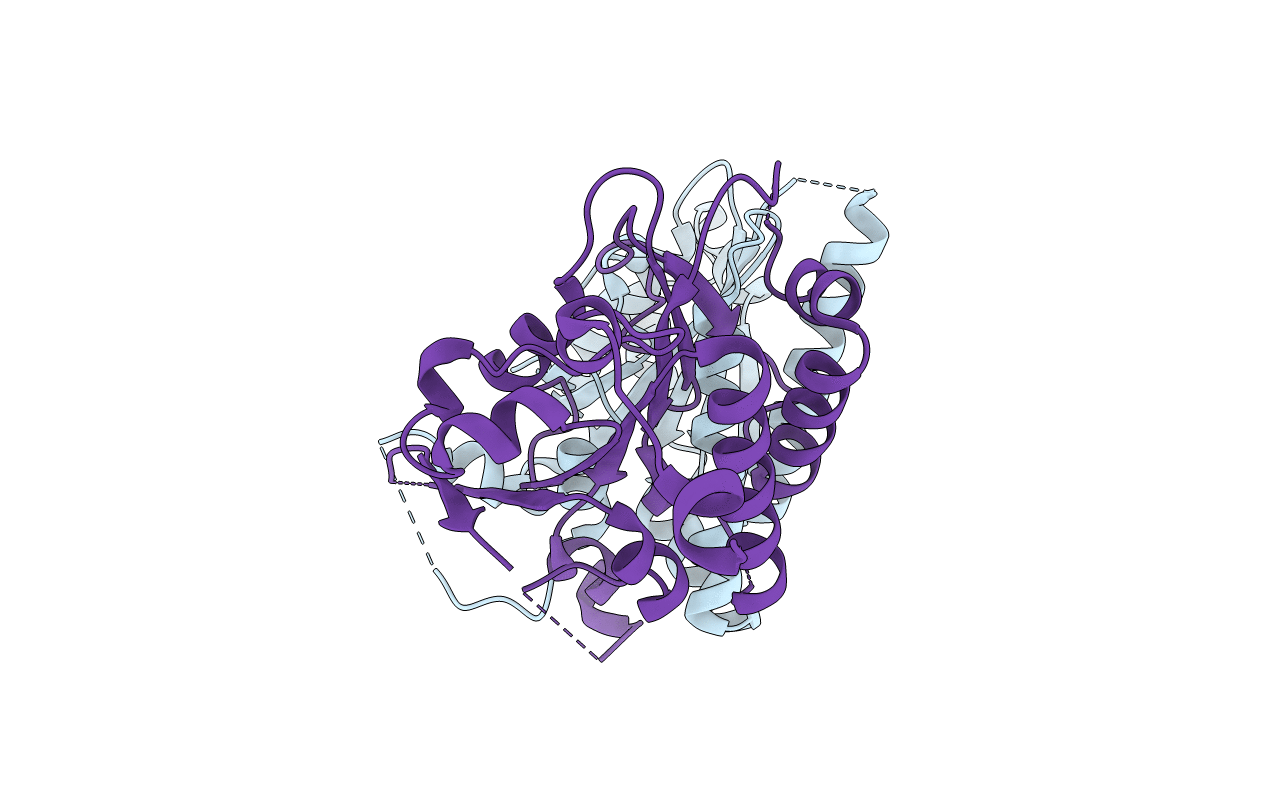 4EQ6 image